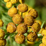 image: Image from the photoset ‘
rumelange (xiii)
’.