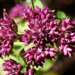 image: Image from the photoset ‘
rumelange (xiii)
’.