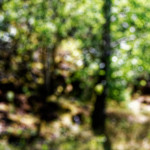 image: Image from the photoset ‘
rumelange (xiii)
’.