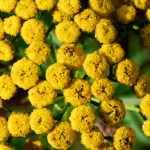 image: Image from the photoset ‘
rumelange (xiv)
’.