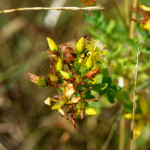 image: Image from the photoset ‘
rumelange (xiv)
’.