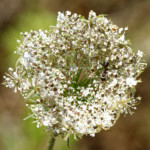 image: Image from the photoset ‘
rumelange (xv)
’.