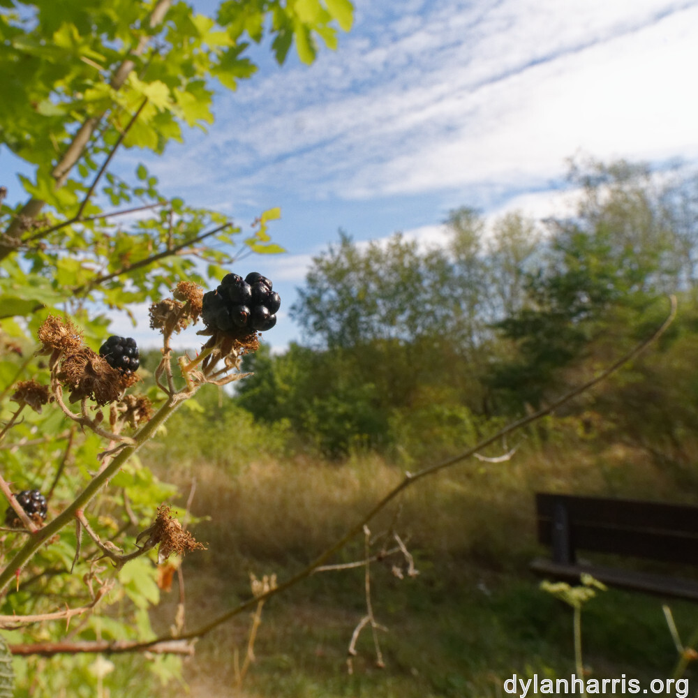 image: This is ‘
belvaux (xi) 5
’.