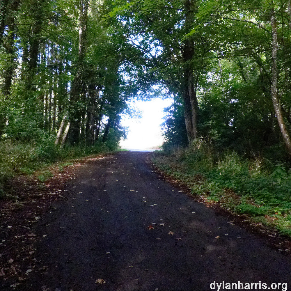 image: This is ‘
differdange 1
’.