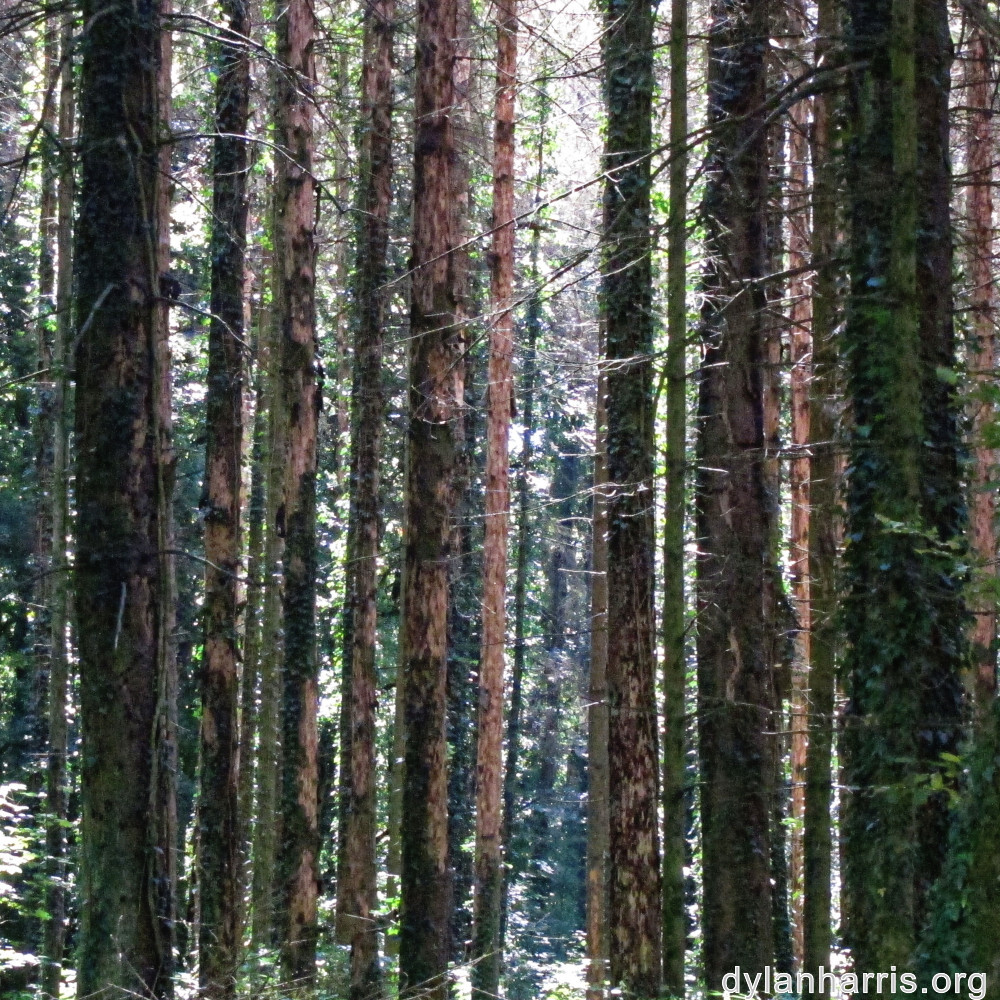 image: This is ‘
differdange 5
’.