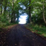 image: Image from the photoset ‘
differdange (iv)
’.