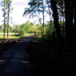 image: Image from the photoset ‘
differdange (iv)
’.