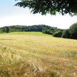 image: Image from the photoset ‘
differdange (iv)
’.