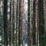 image: Image from the photoset ‘
differdange (iv)
’.