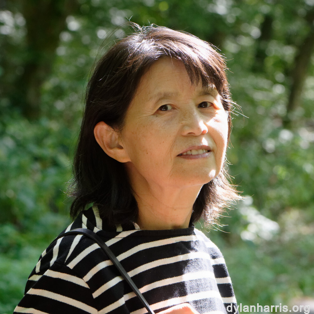 image: This is ‘
L (xl) 3
’.