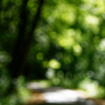 image: Image from the photoset ‘
terres rouges (xx)
’.