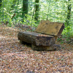 image: Image from the photoset ‘
terres rouges (xx)
’.