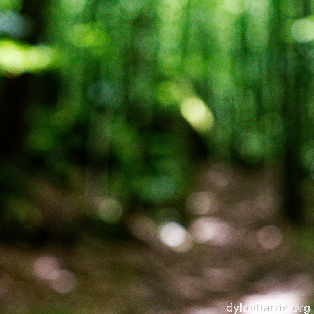 image: This is ‘
mullerthal (i) 1
’.