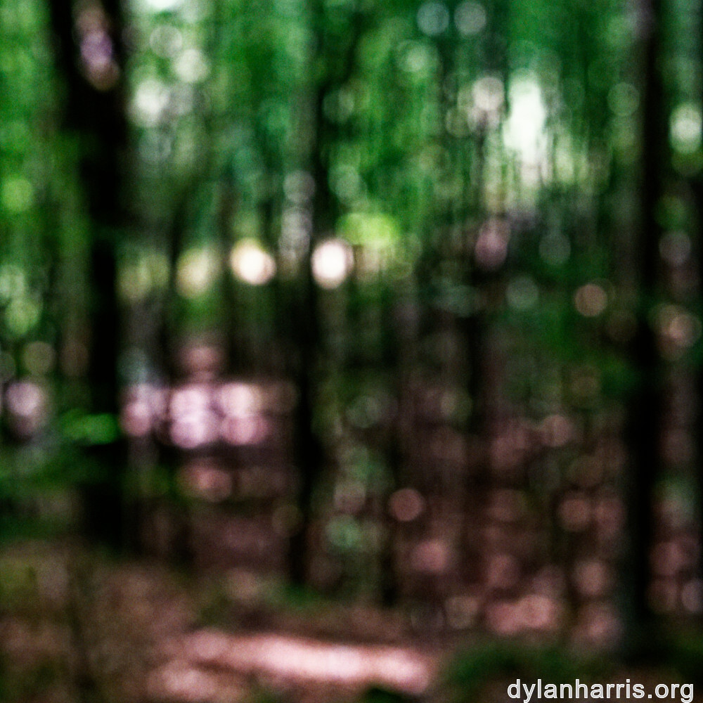 image: This is ‘
mullerthal (i) 2
’.