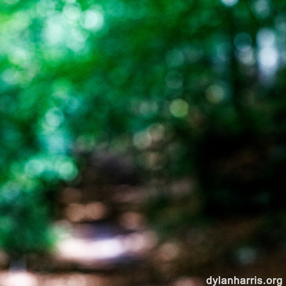 image: This is ‘
mullerthal (i) 3
’.