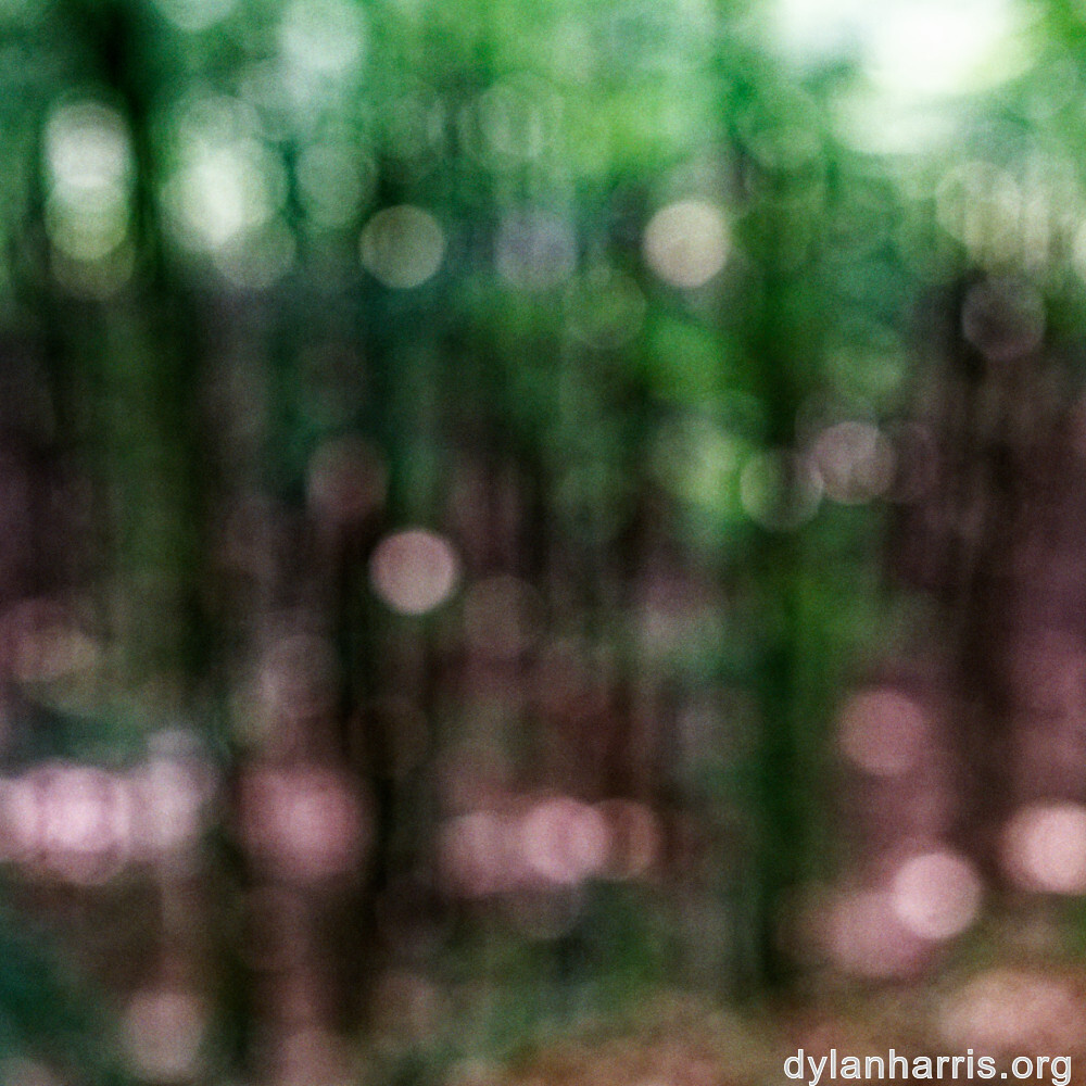 image: This is ‘
mullerthal (i) 4
’.