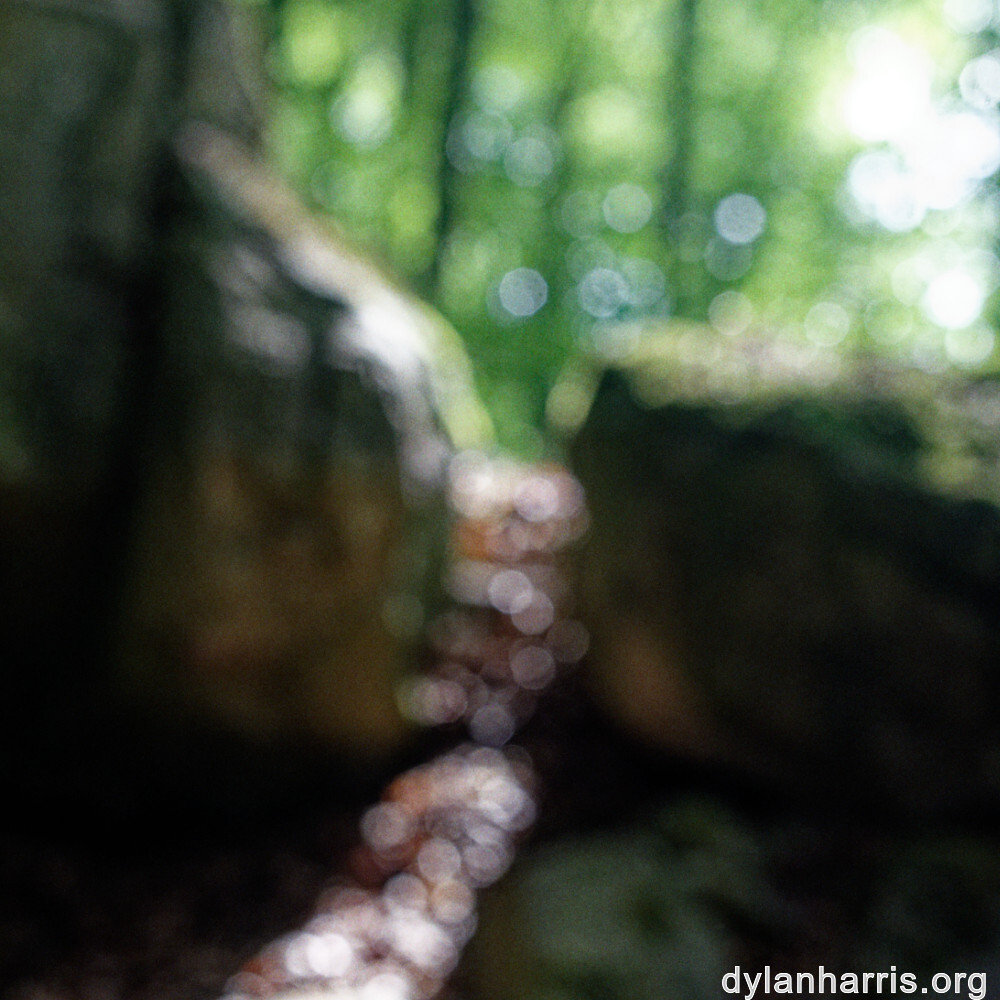 image: This is ‘
mullerthal (i) 5
’.