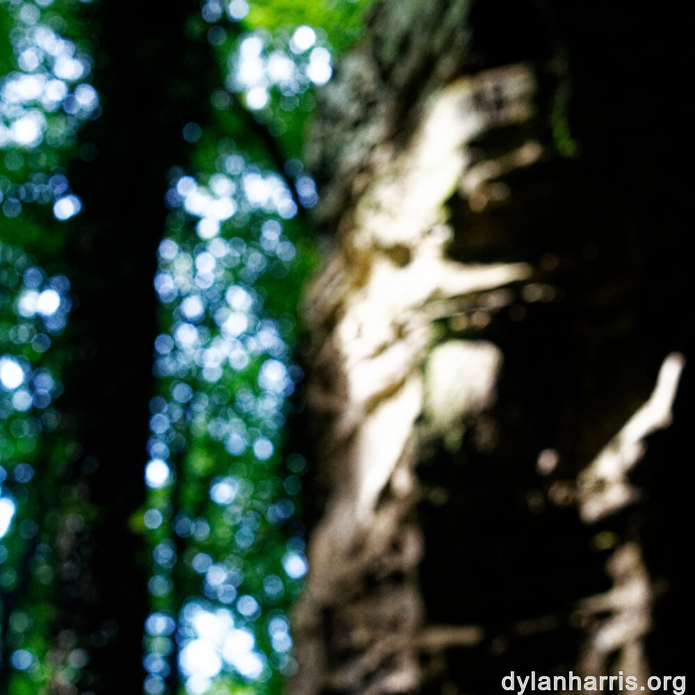 image: This is ‘
mullerthal (ii) 1
’.