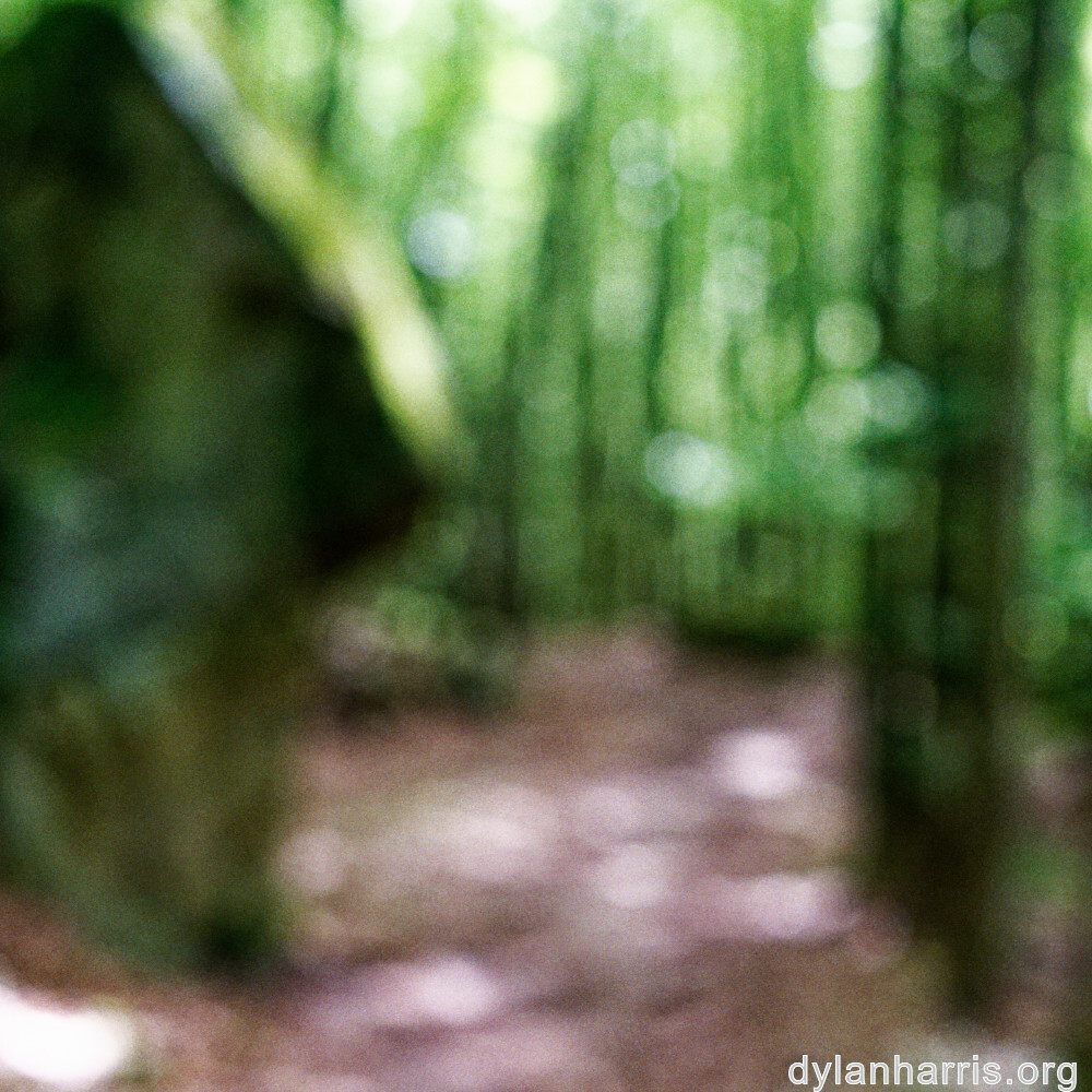 image: This is ‘
mullerthal (ii) 2
’.