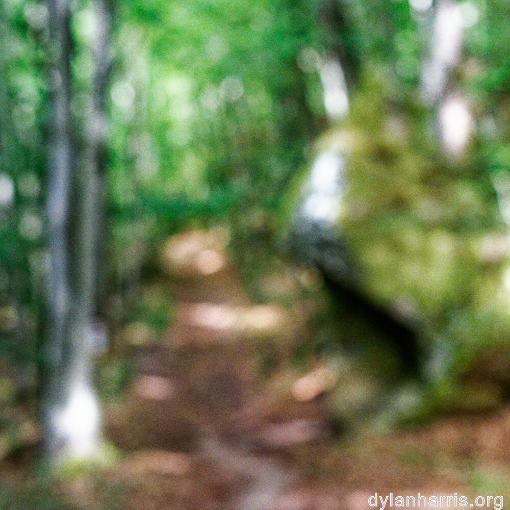 image: This is ‘
mullerthal (ii) 3
’.