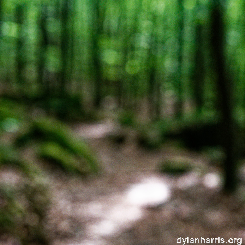 image: This is ‘
mullerthal (ii) 4
’.