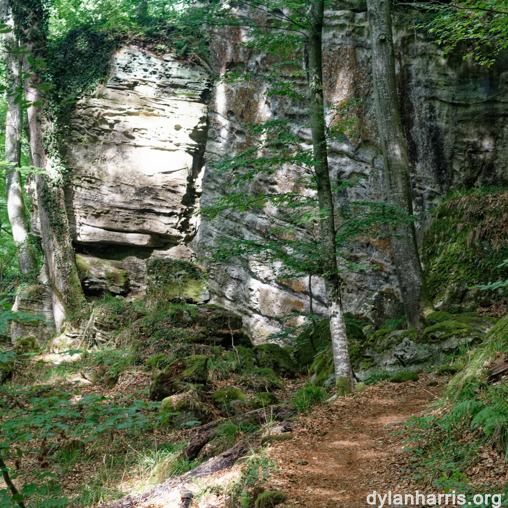 image: This is ‘
mullerthal (iii) 1
’.