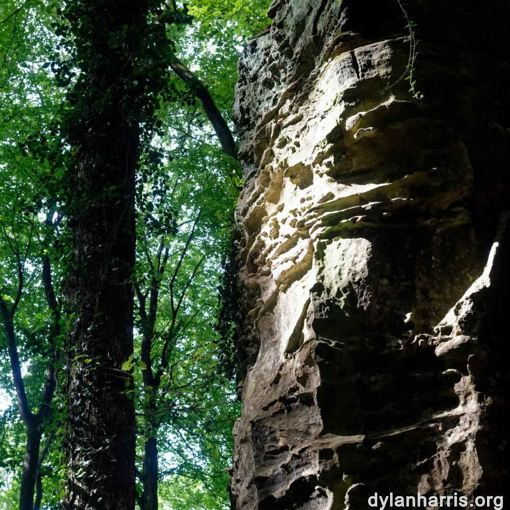 image: This is ‘
mullerthal (iii) 3
’.