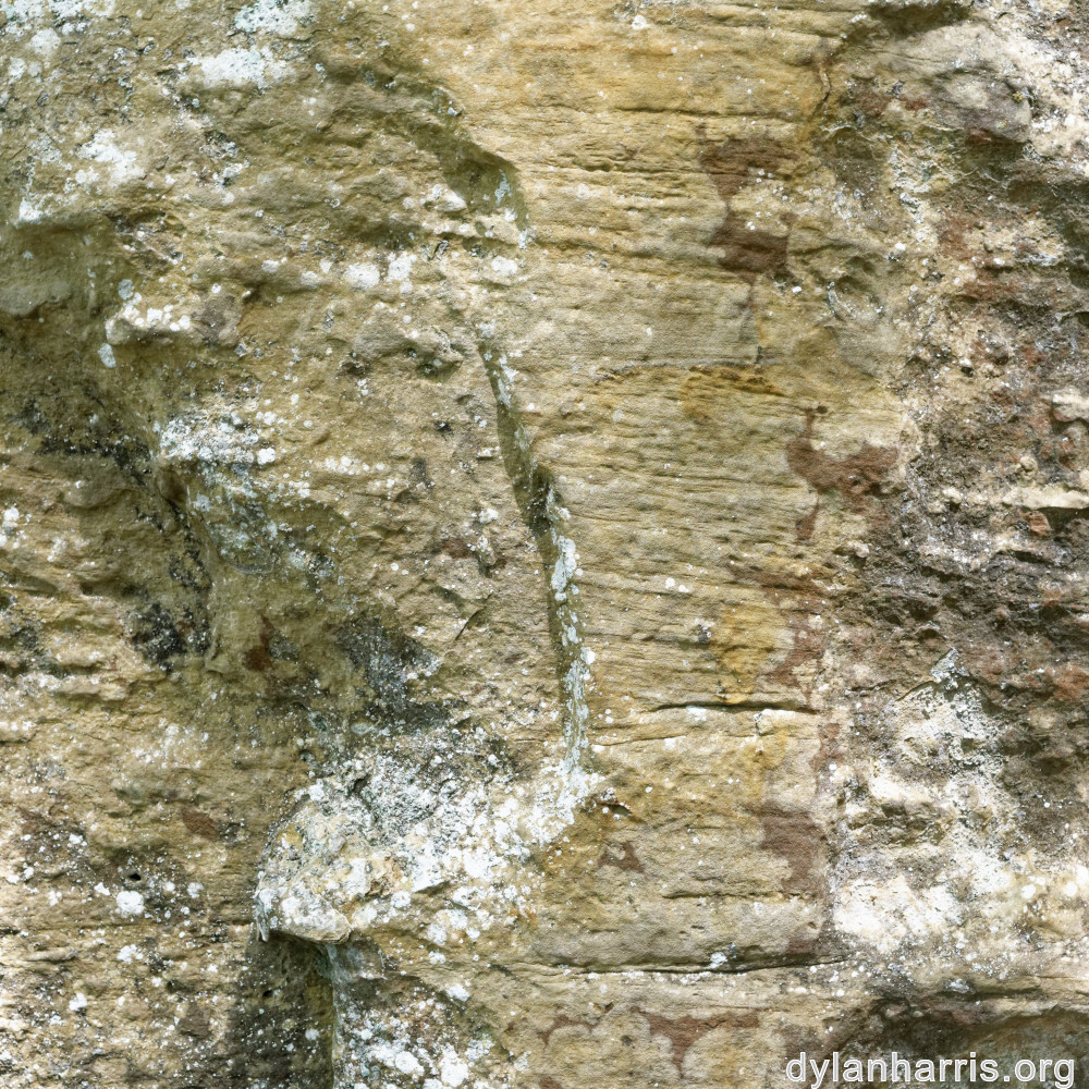 image: This is ‘
mullerthal (iii) 4
’.