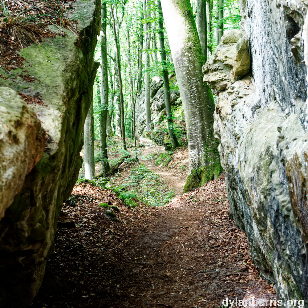 image: This is ‘
mullerthal (iii) 6
’.