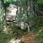 image: Image from the photoset ‘
mullerthal (iii)
’.