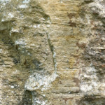 image: Image from the photoset ‘
mullerthal (iii)
’.