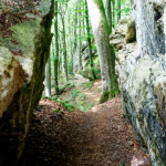 image: Image from the photoset ‘
mullerthal (iii)
’.