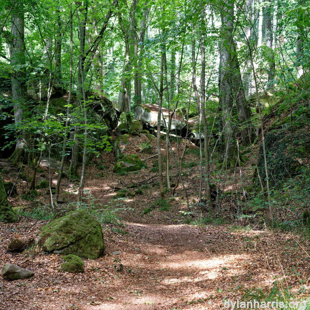 image: This is ‘
mullerthal (iv) 1
’.