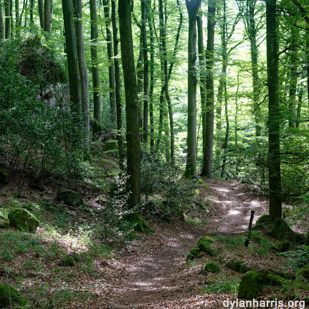 image: This is ‘
mullerthal (iv) 2
’.