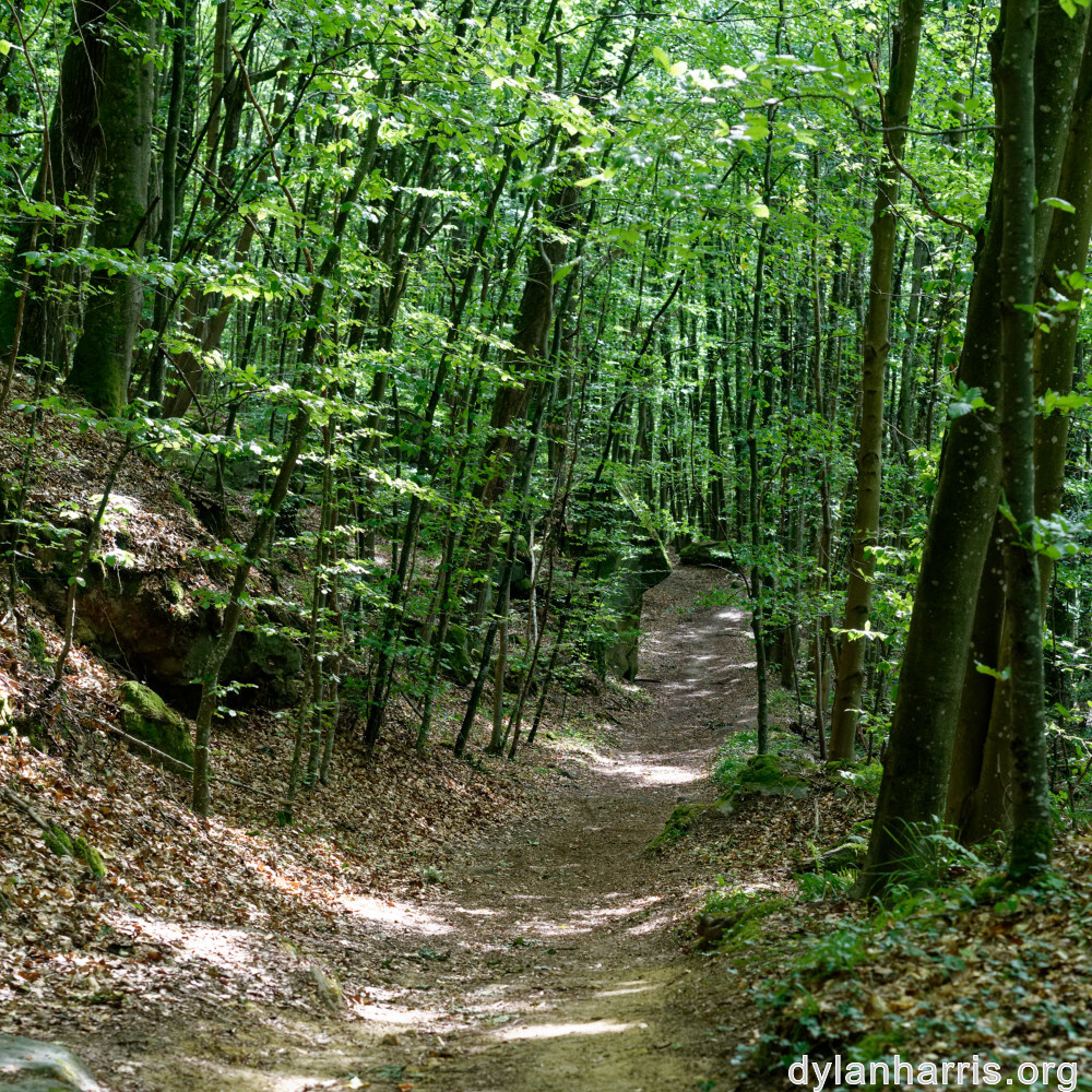 image: This is ‘
mullerthal (iv) 3
’.