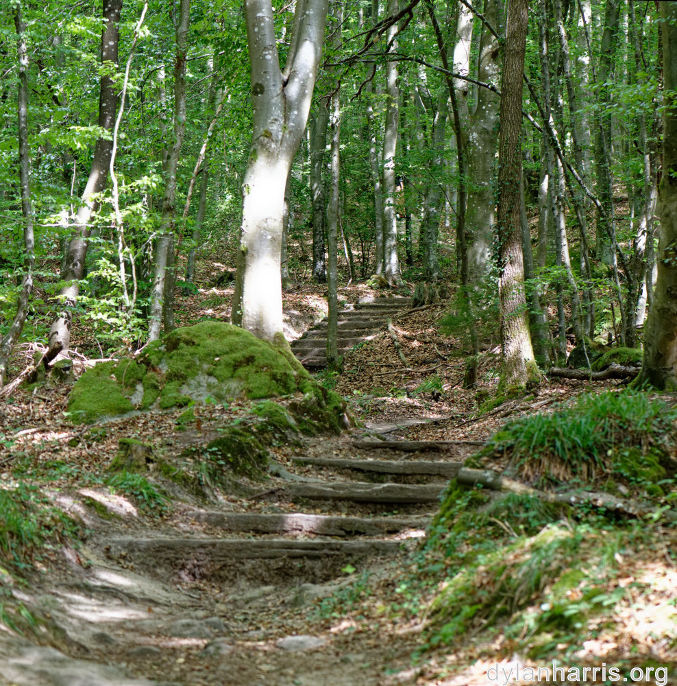 image: This is ‘
mullerthal (iv) 43
’.