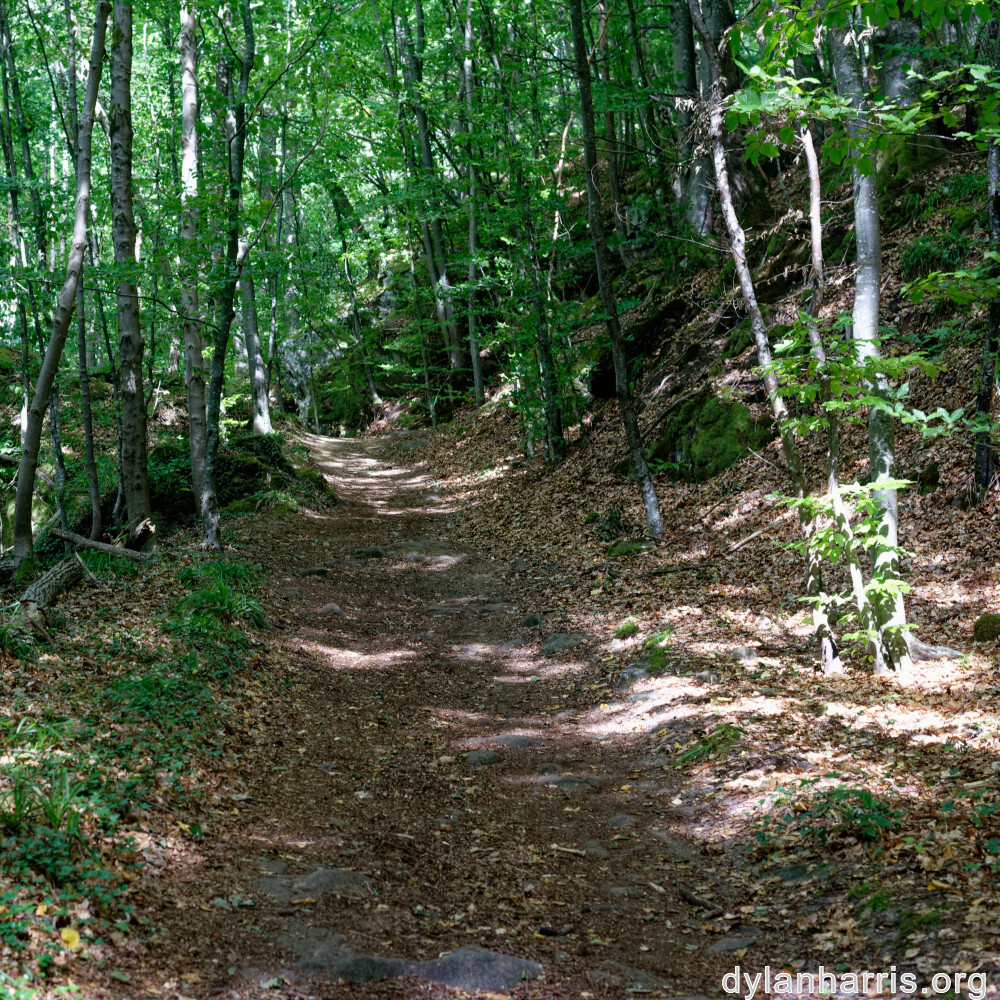 image: This is ‘
mullerthal (iv) 5
’.