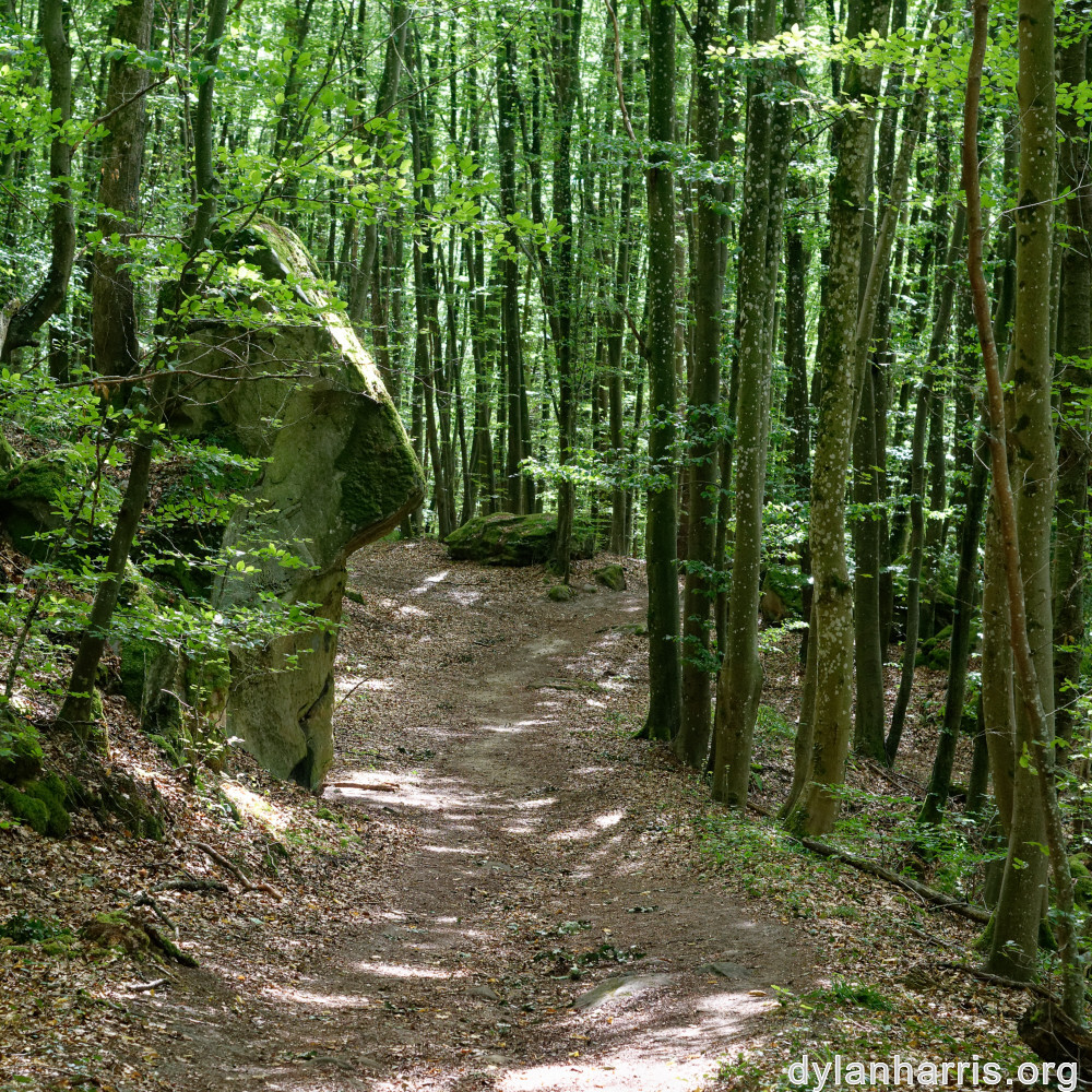 image: This is ‘
mullerthal (iv) 6
’.