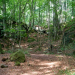 image: Image from the photoset ‘
mullerthal (iv)
’.