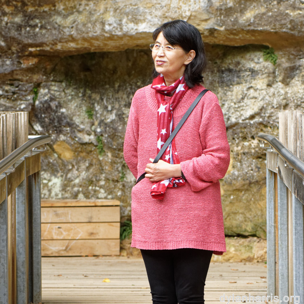 image: This is ‘
L (xli) 1
’.