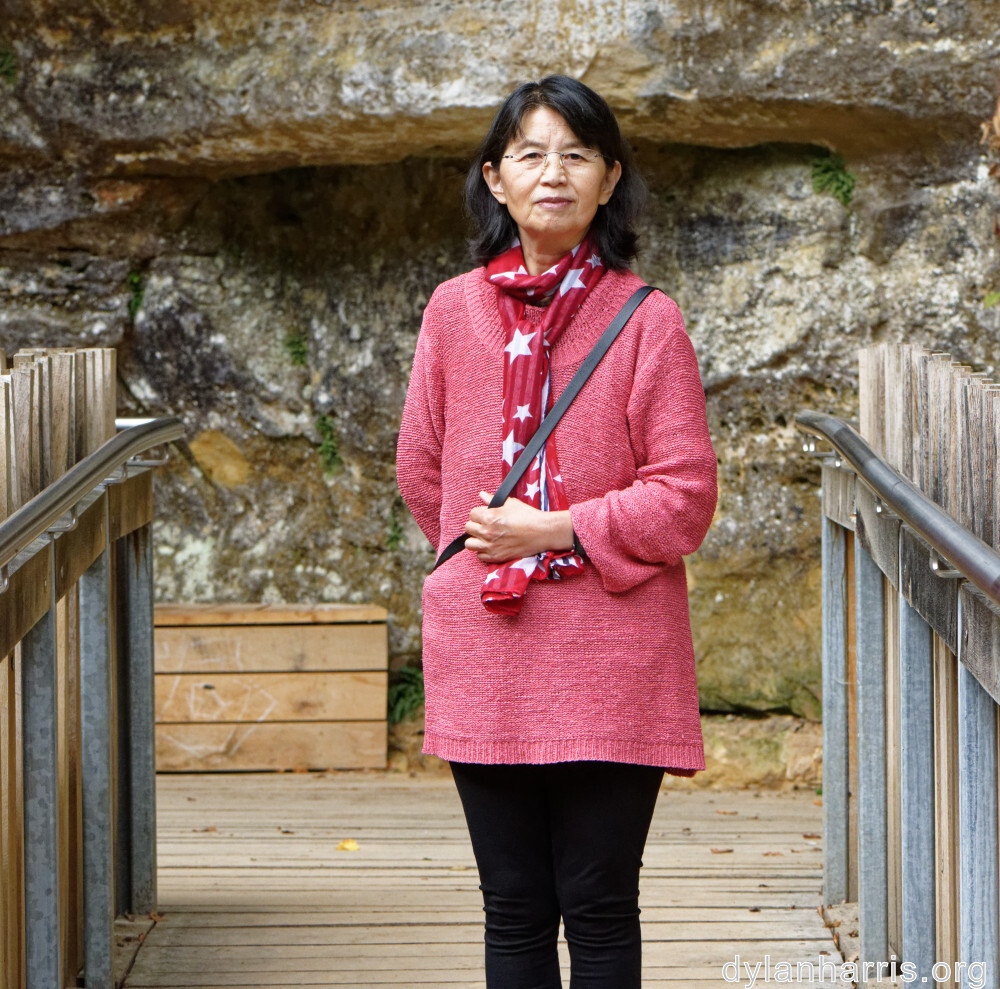 image: This is ‘
L (xli) 3
’.