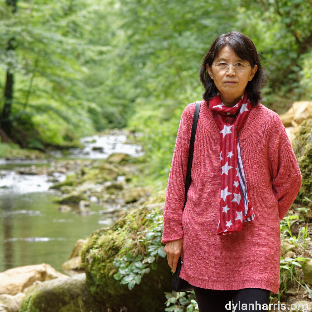 image: This is ‘
L (xli) 5
’.