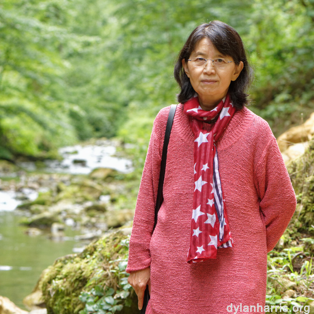 image: This is ‘
L (xliiix) 1
’.