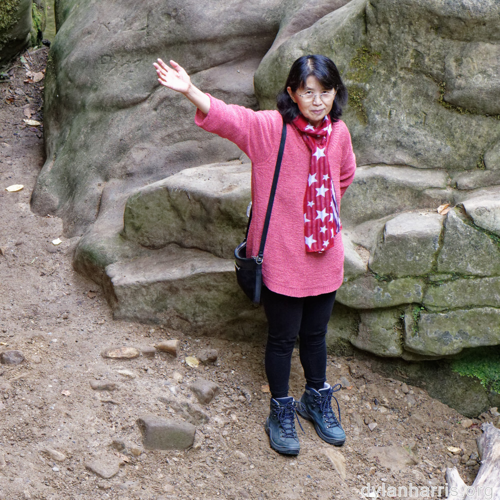 image: This is ‘
L (xliiix) 4
’.