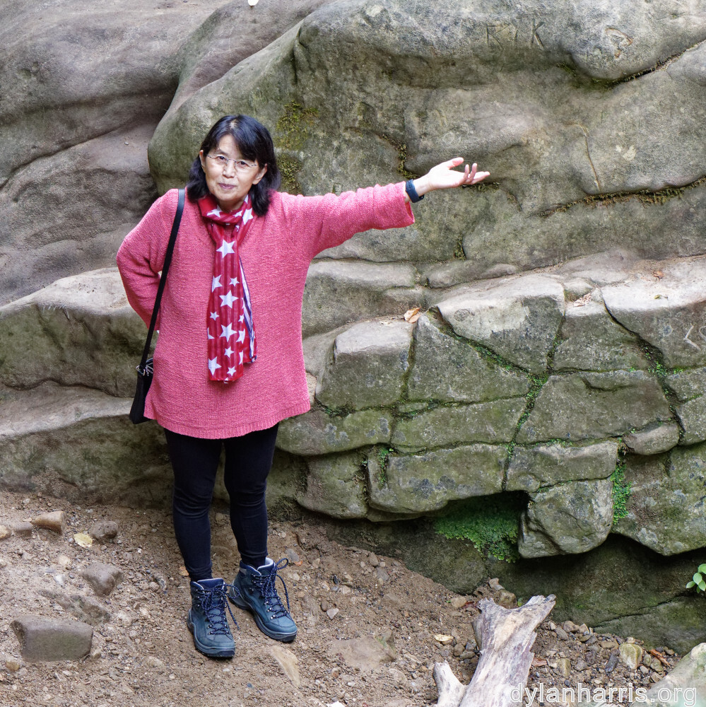 image: This is ‘
L (xliiix) 5
’.