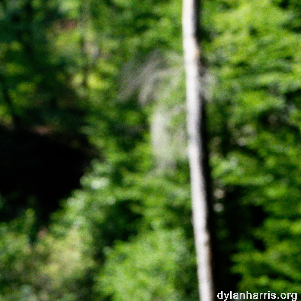 image: This is ‘
beaufort 1
’.