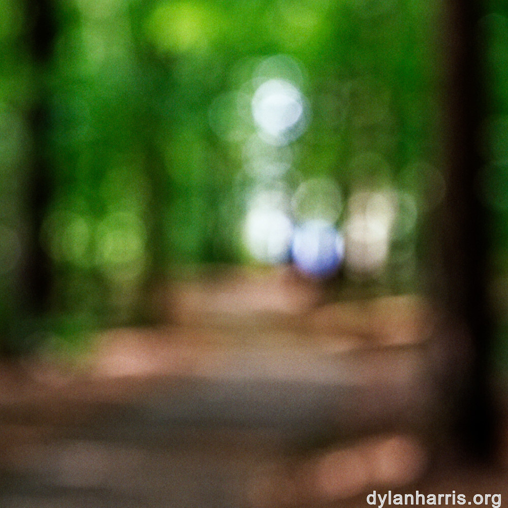 image: This is ‘
beaufort 2
’.