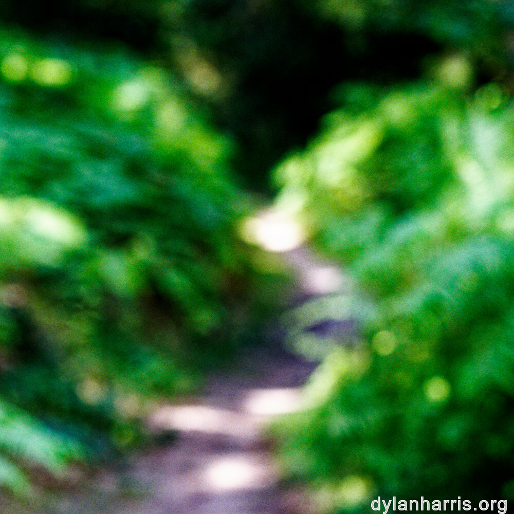 image: This is ‘
beaufort 4
’.