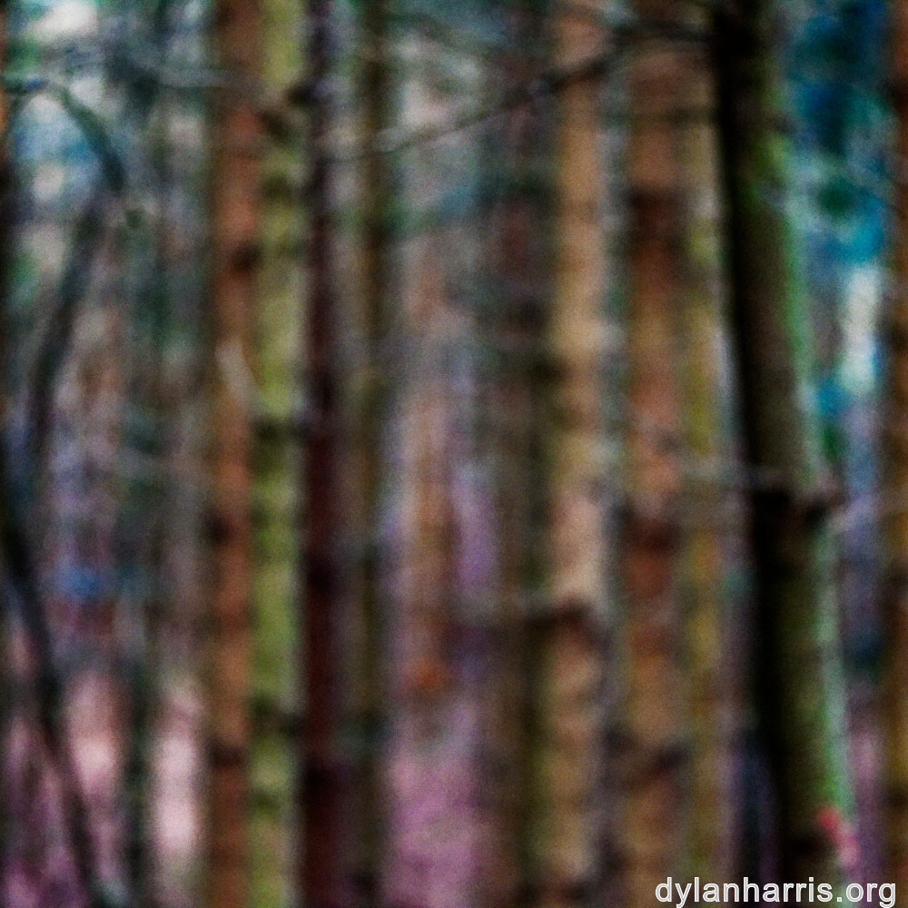 image: This is ‘
beaufort 5
’.