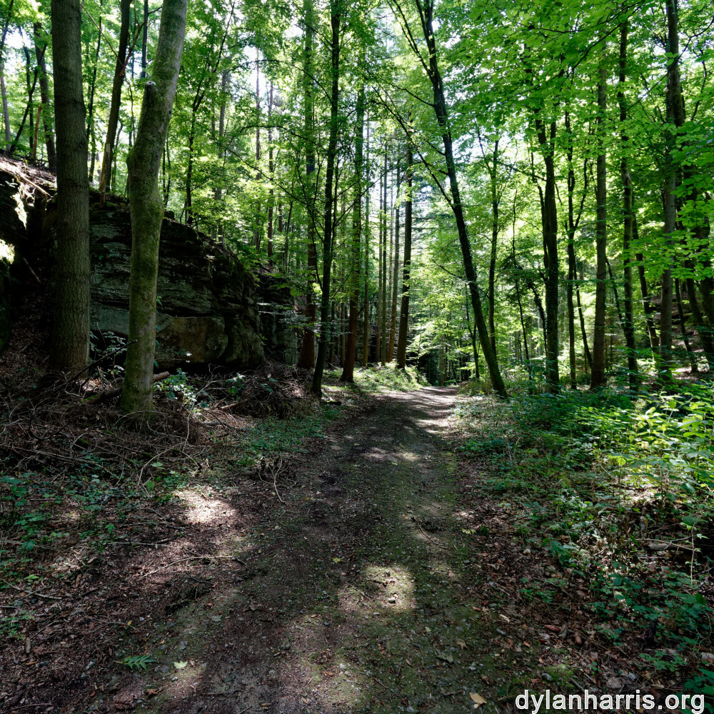 image: This is ‘
beaufort 1
’.